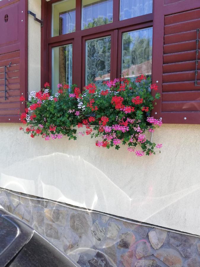 Apartament Roza Braşov Exteriör bild