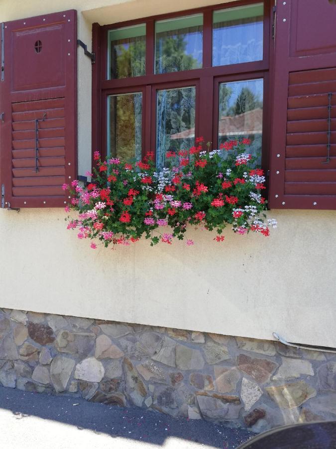 Apartament Roza Braşov Exteriör bild